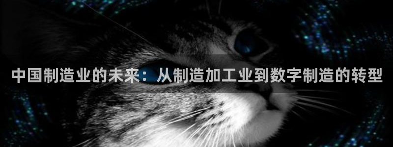 娱乐星扒客欧豪