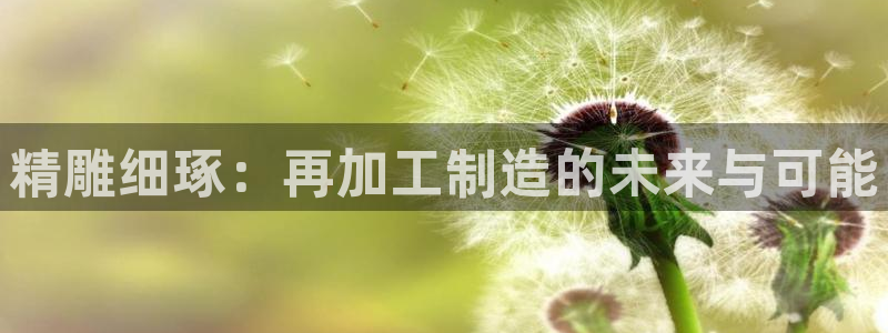 星欧娱乐经纪公司简介