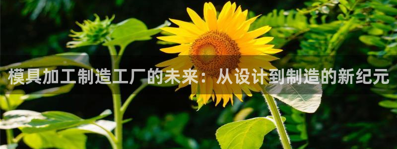 欧豪娱乐星天地采访