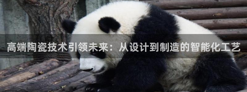 七星娱乐欧包