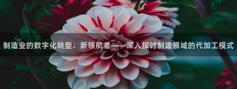 星欧娱乐法最新进展