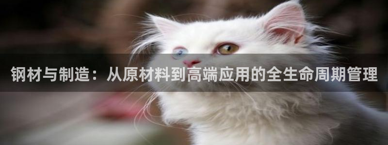 星欧娱乐注册官网