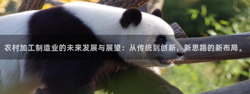 欧乐星城儿童娱乐