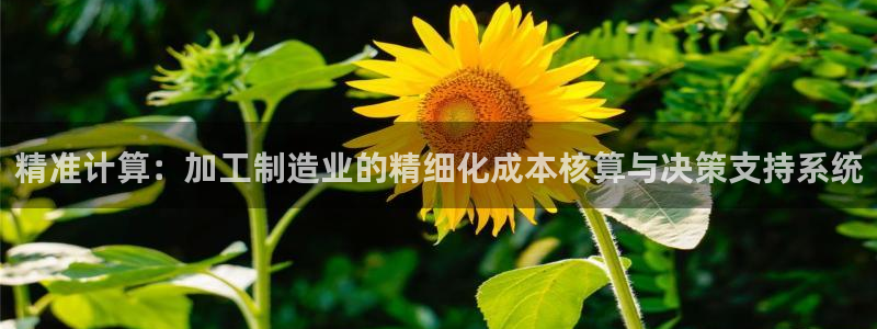 星欧娱乐公司电话号码