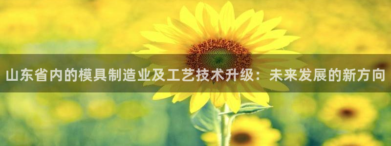 星欧娱乐招商