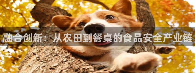 星欧娱乐老版本下载