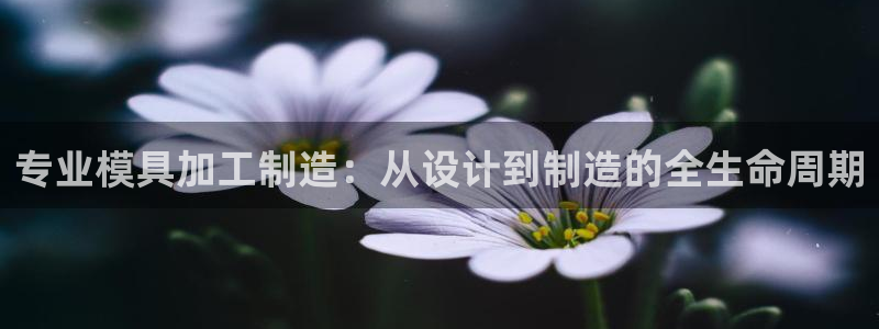 星欧娱乐围7O777