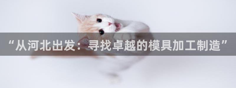 娱乐星扒客欧豪