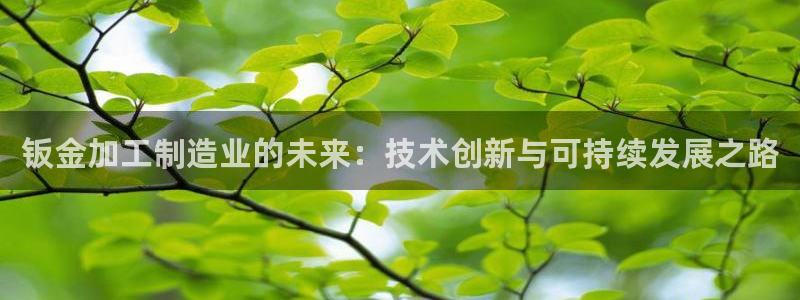 星辉娱乐进入欧连杯了吗