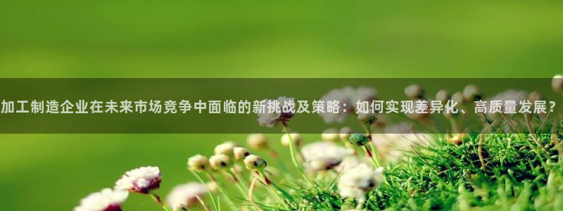 金欧岗星熠娱乐