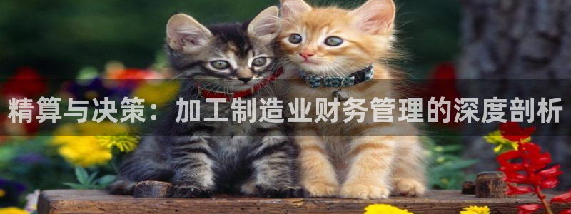 星欧娱乐扣钱步骤详解