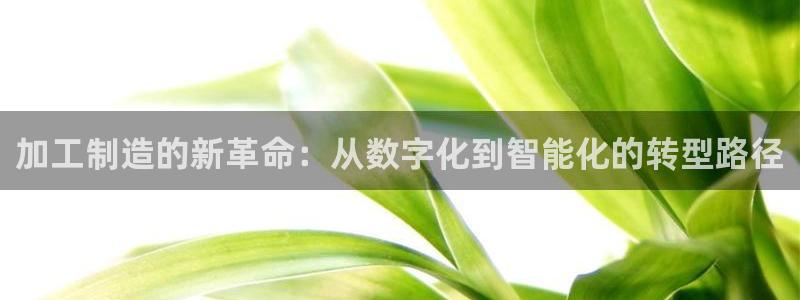 欧星娱乐的盘口