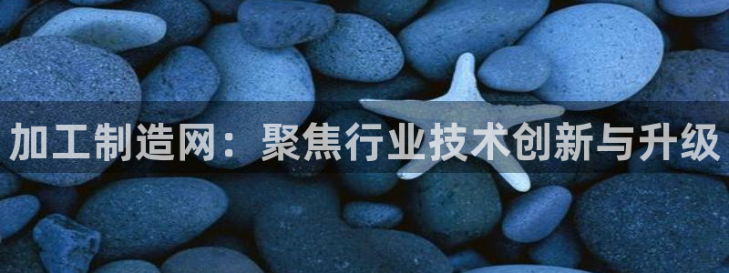 娱乐星天地马思纯欧豪