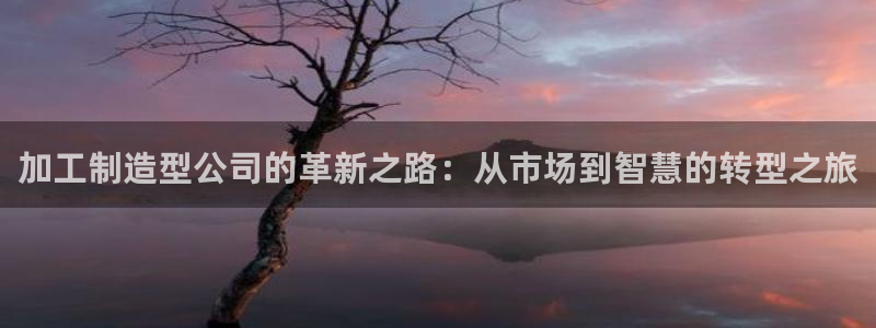 星欧娱乐平台