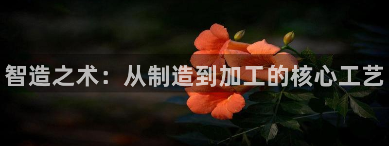 星欧娱乐最新消息