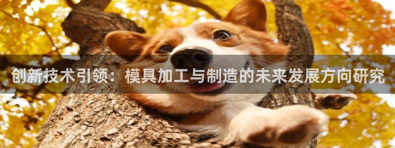 星欧娱乐掌7O777