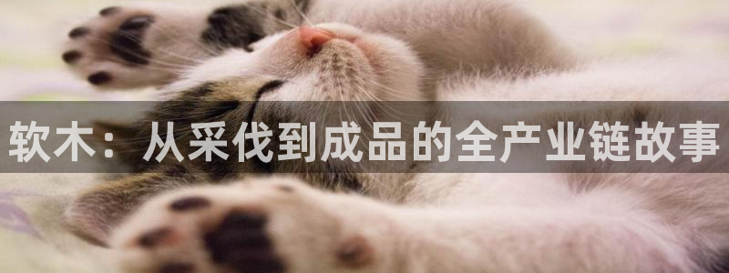 欧星娱乐 拉勾