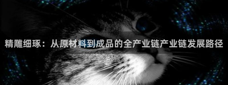 娱乐星天地欧豪