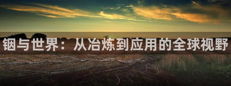 星欧娱乐平台注册入口