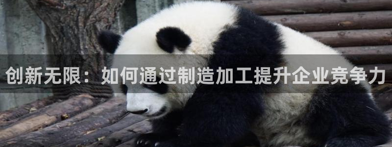 星辉娱乐进入欧联杯