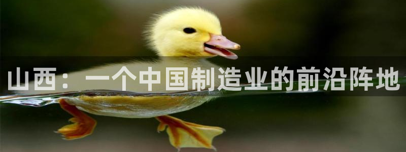 星欧娱乐扣钱步骤详解