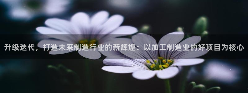 星欧娱乐是什么平台