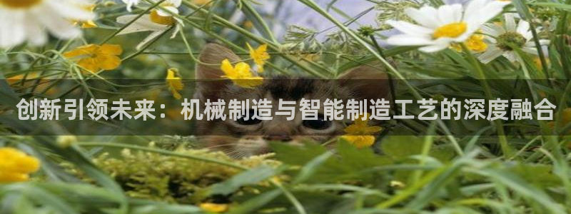 欧星娱乐最新地址