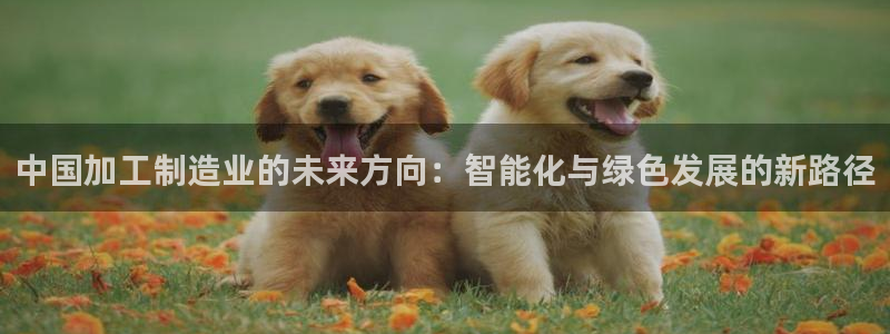 欧乐星城娱乐视频