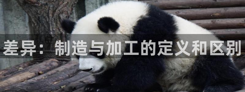 星娱乐online欧弟