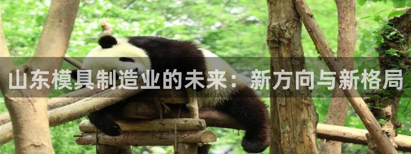 星欧娱乐扣费详情详解