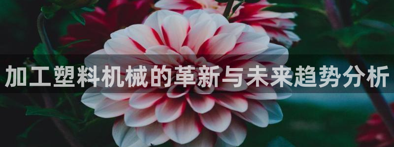 艾欧尼亚三星娱乐赛