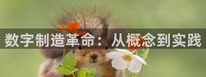 星欧娱乐官方微博