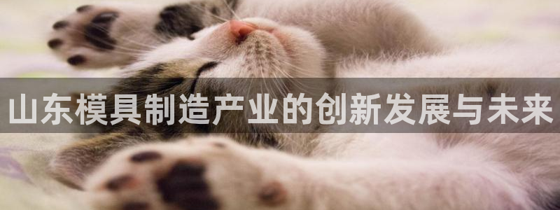 星欧娱乐平台app下载