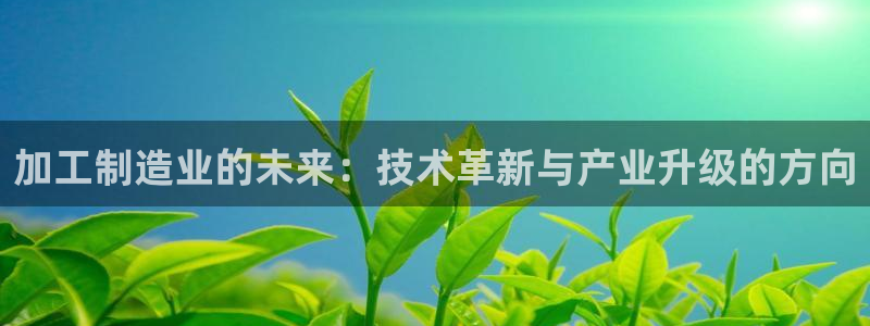 星欧娱乐负责人