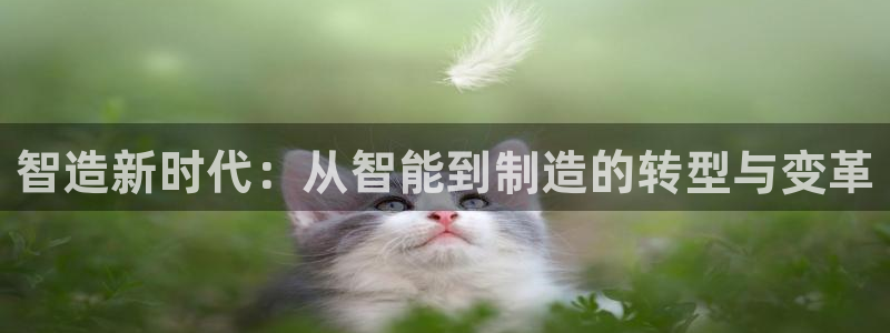 星欧娱乐最新动态消息