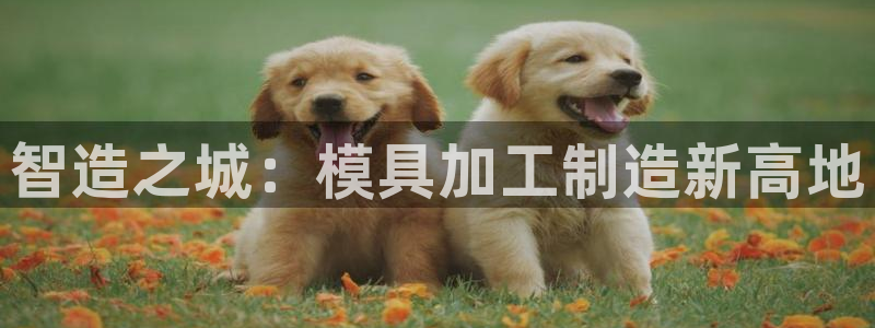 星欧娱乐最新优惠活动