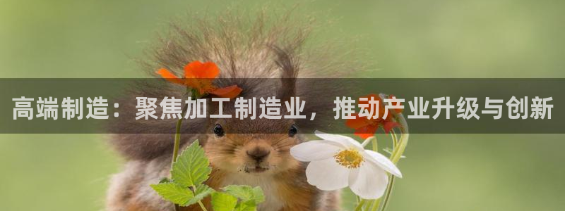 星欧娱乐平台app下载