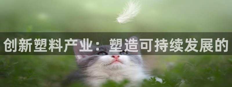 星欧娱乐负责人