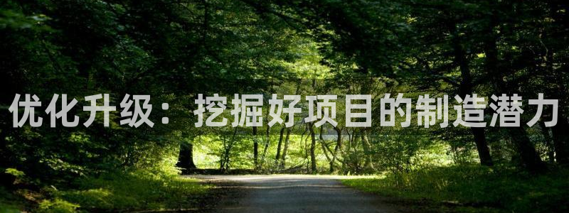 欧星科技娱乐公司