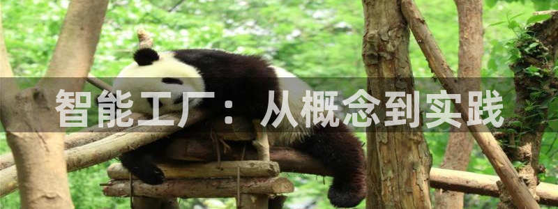 星辉娱乐欧联杯转播