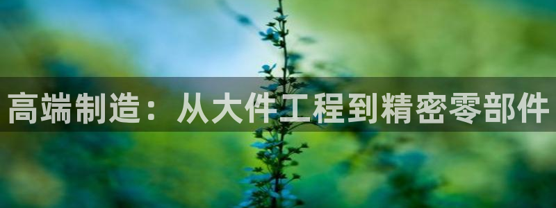 星欧娱乐招商81338