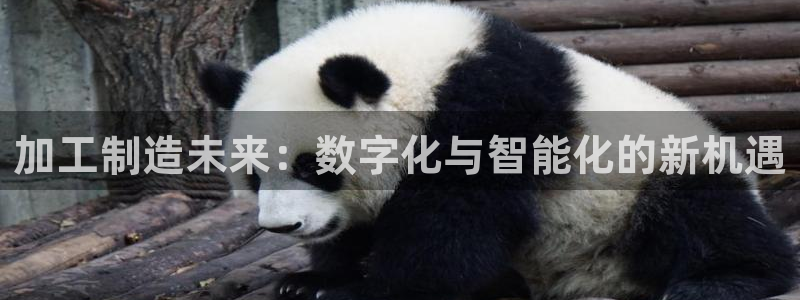 欧星娱乐国际平台