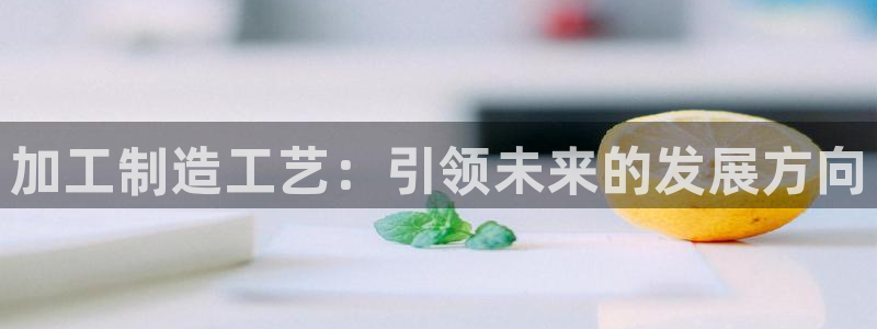 星欧娱乐经纪公司简介