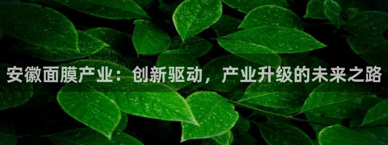 星欧娱乐的创始人背景