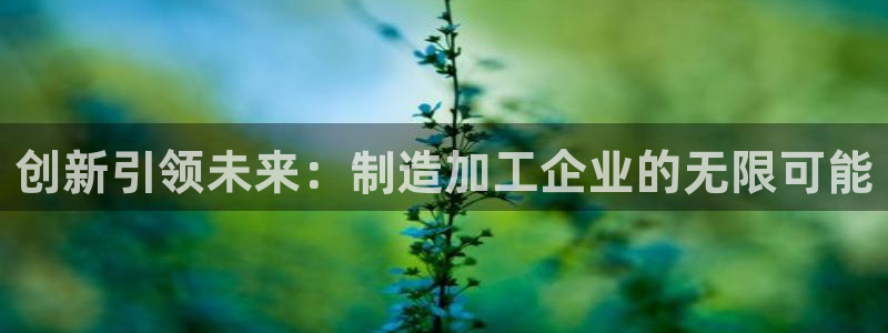 星欧娱乐官方网页版入口